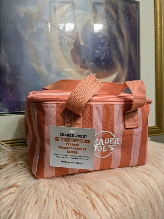 Trader Joe\'s 6 set of Mini Insulated Lunch Bag Striped Multicolor Zipper NWT main image 5